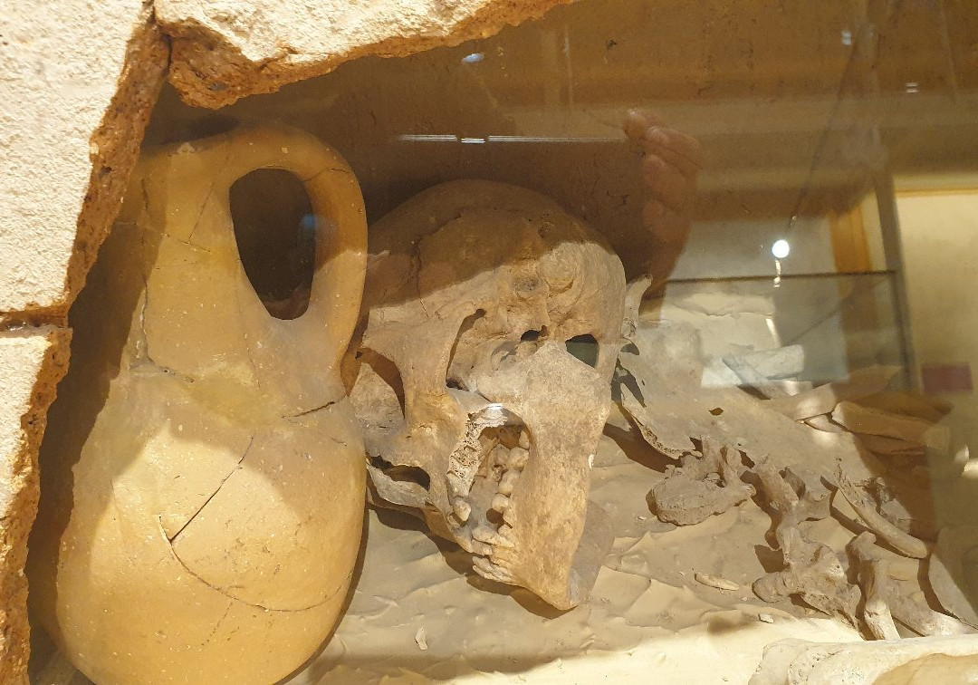 Museu Arqueologic Municipal Camil Visedo Molto景点图片