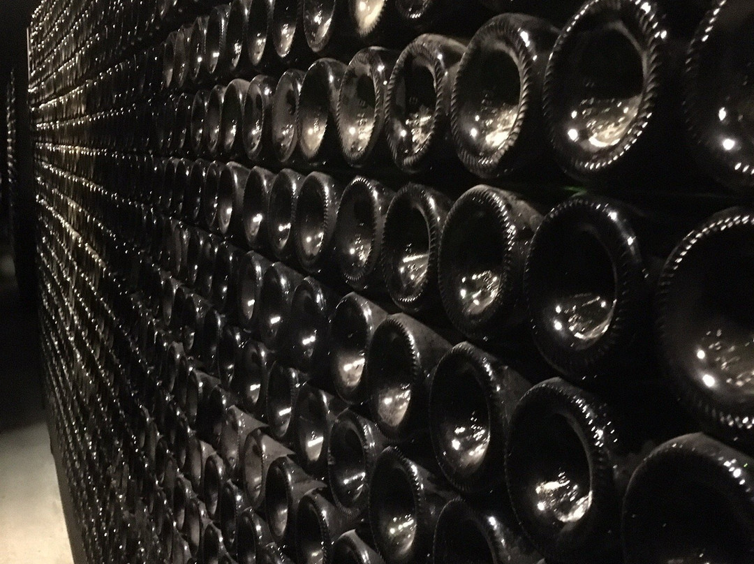 MuseObulles - Cave de Die Jaillance景点图片