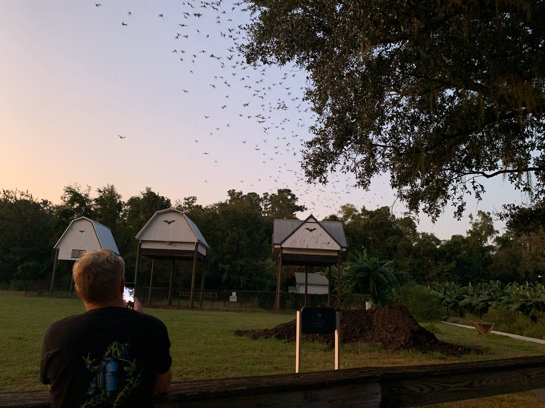 University of Florida Bat House-盖恩斯维尔必去景点