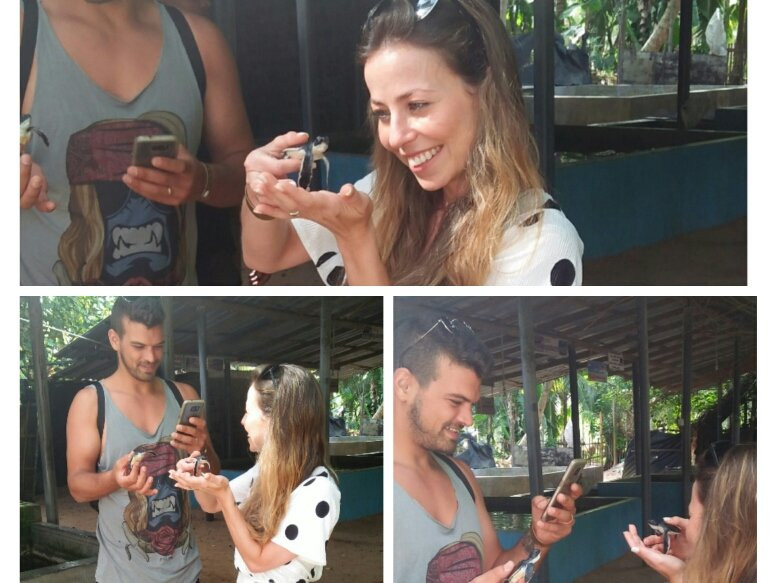 Kosgoda Sea Turtle Conservation Project景点图片