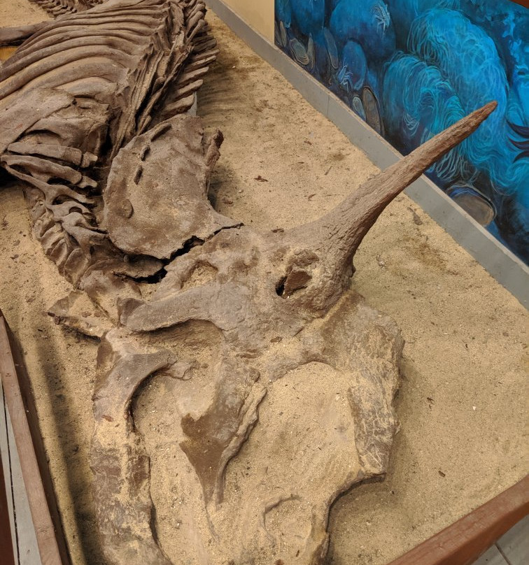 Vermont Marble Museum-Proctor必去景点