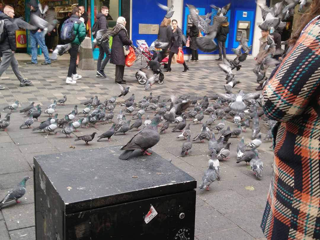 Sauchiehall Street景点图片