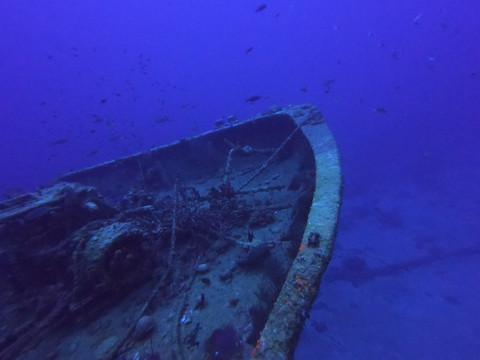 Superior Producer-库拉索必去景点