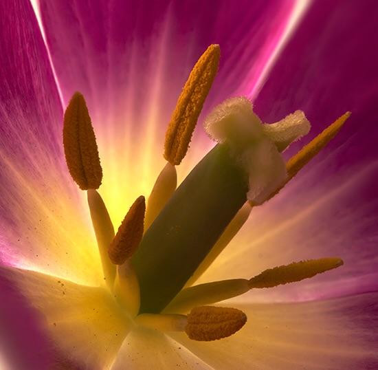 Wellington Artist's Gallery and Art Centre