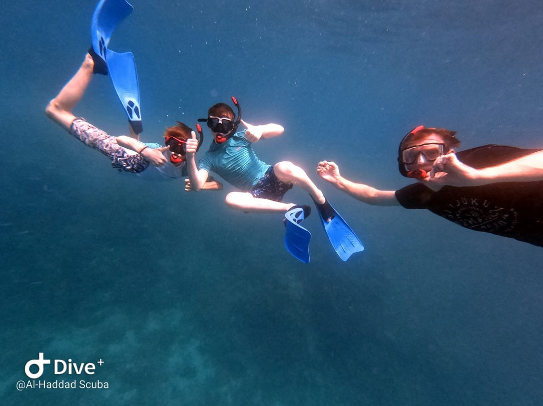 Al-Haddad Scuba-吉达必去景点