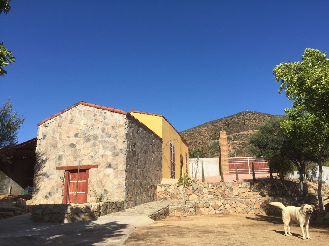 Villa de Juarez旅游攻略图片