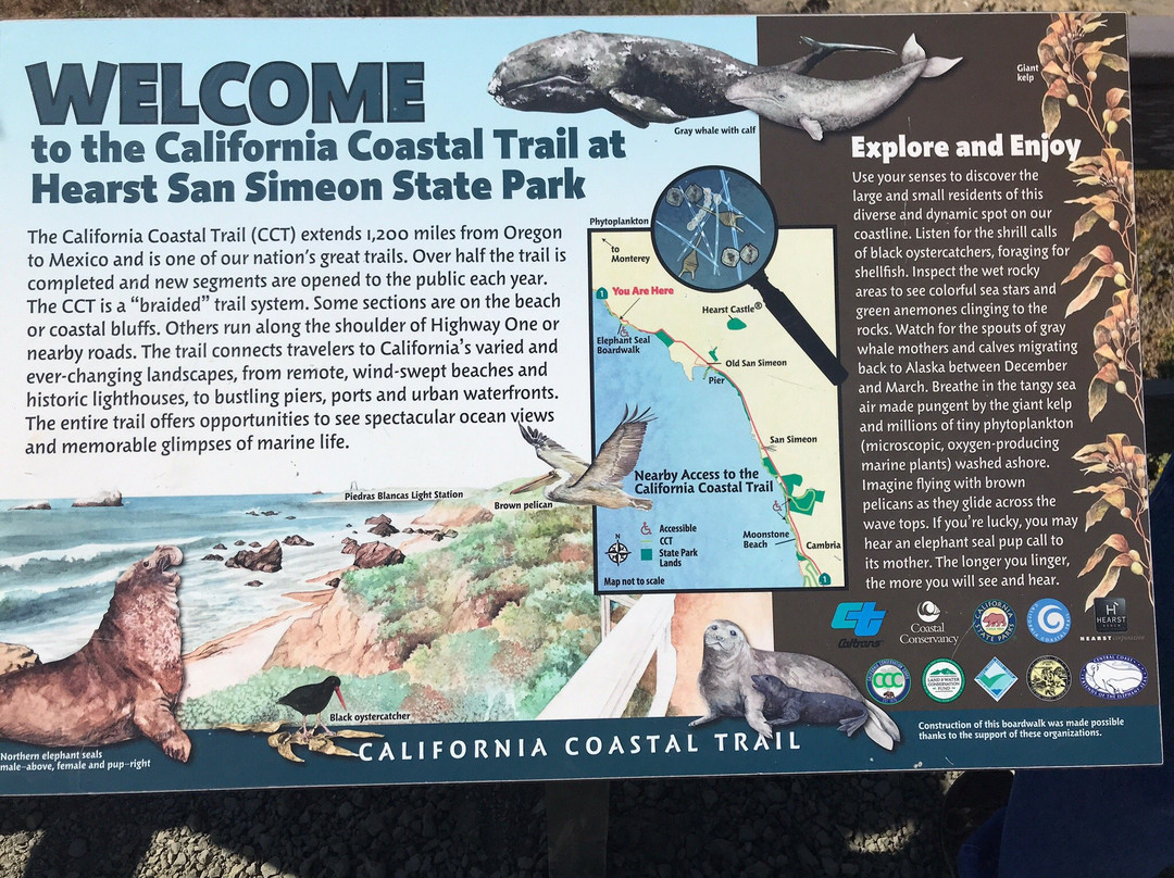 California Coastal Trail-红木国家公园必去景点