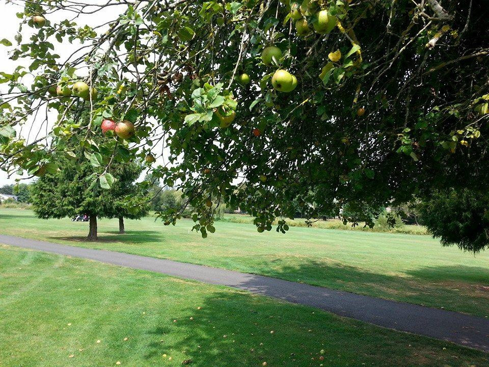 Gresham Golf Course-格雷舍姆必去景点