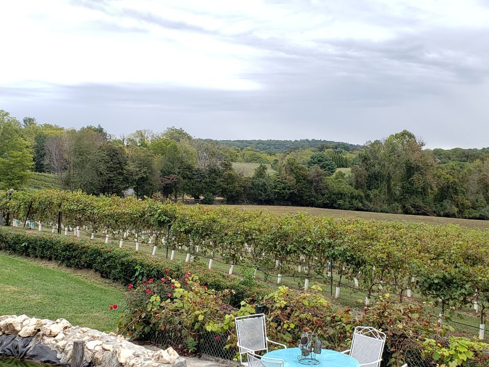 Mediterranean Cellars-沃伦顿必去景点