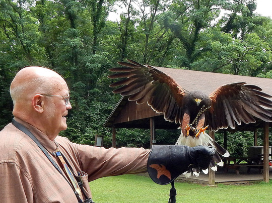 Ohio School Of Falconry-哥伦布必去景点