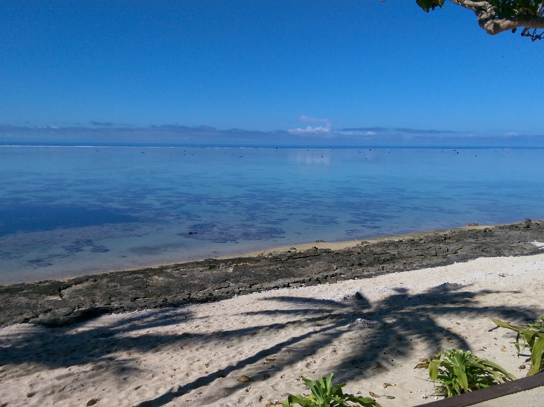 茂宜岛棕榈酒店主图