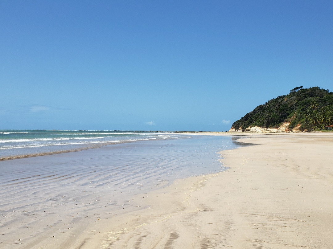 Morro Beach景点图片