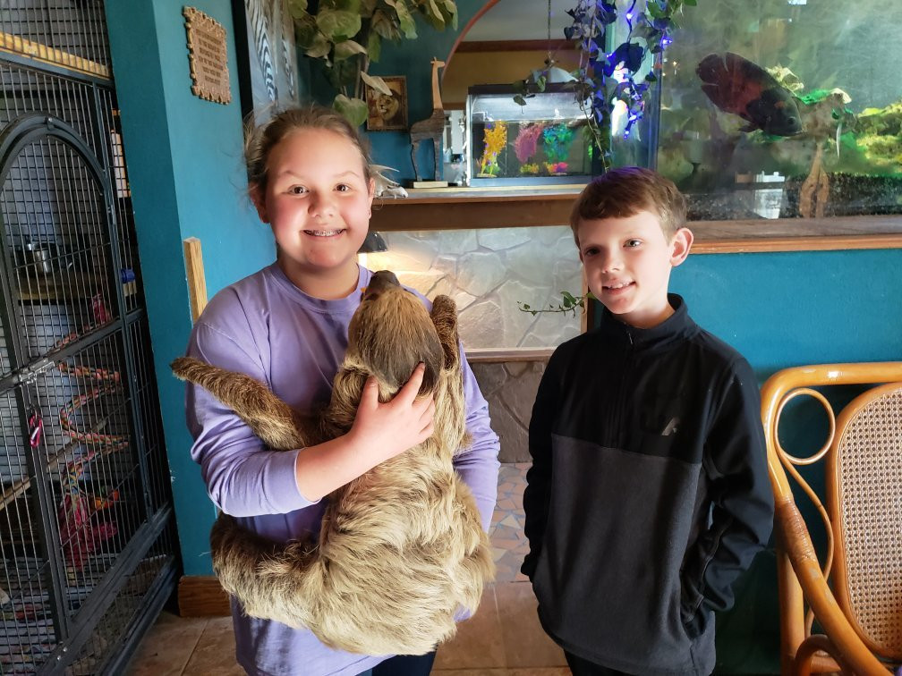 SafARI TAILS - Teaching about Animals In Live Shows景点图片