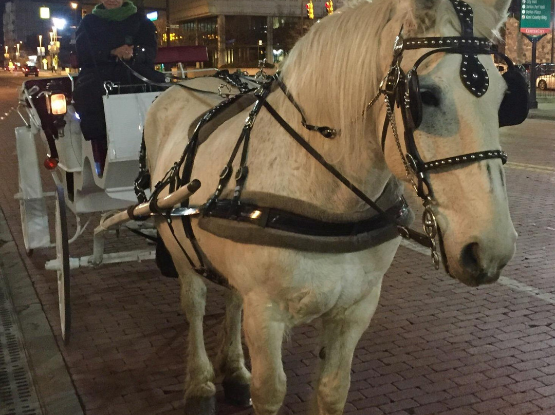 Classic Carriage LLC-大急流市必去景点