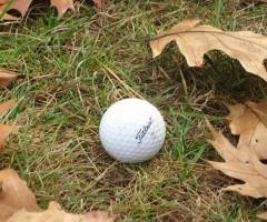 Peninsula Golf Resort-Golf Course