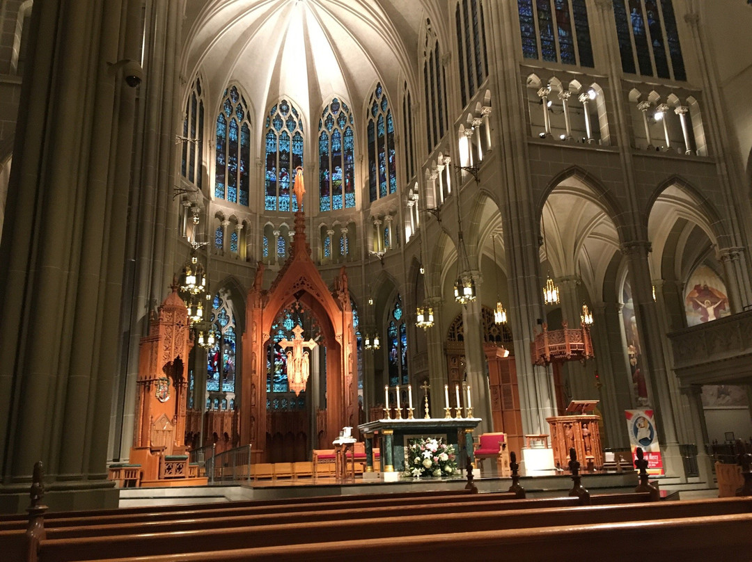 St Mary's Cathedral Basilica of the Assumption-卡温顿必去景点