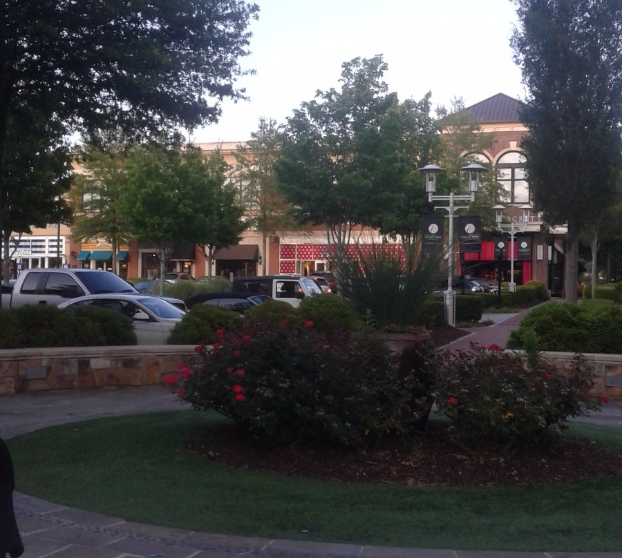 The Collection at Forsyth