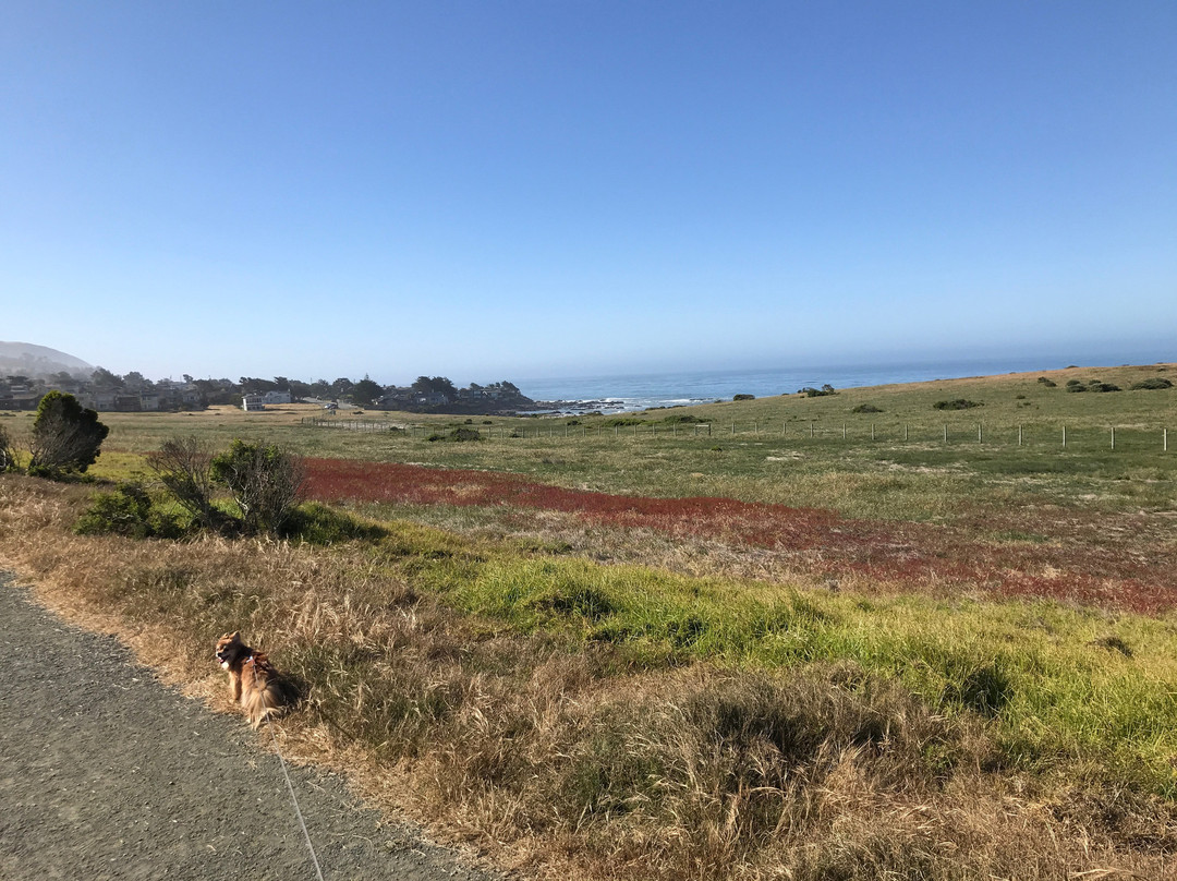 Marine Terrace Trail景点图片