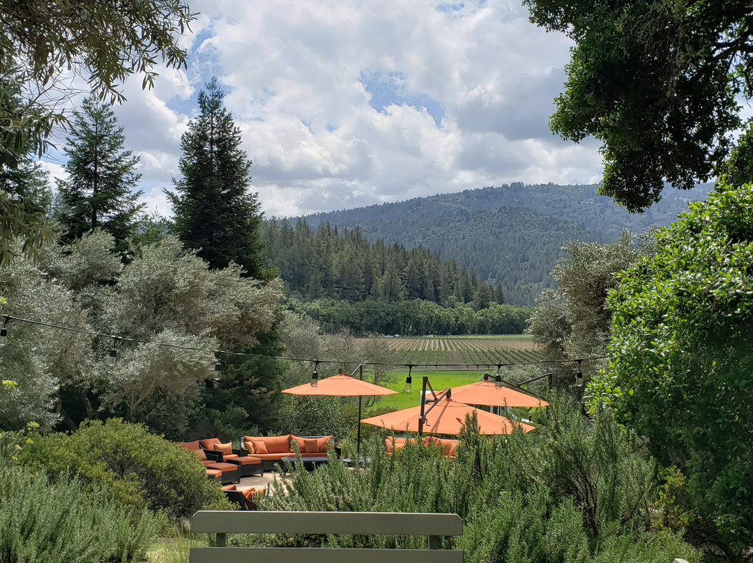 Kenefick Ranch Vineyard & Winery景点图片