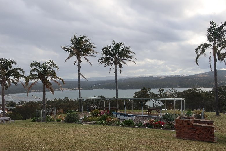 Norfolk Pine Motel主图