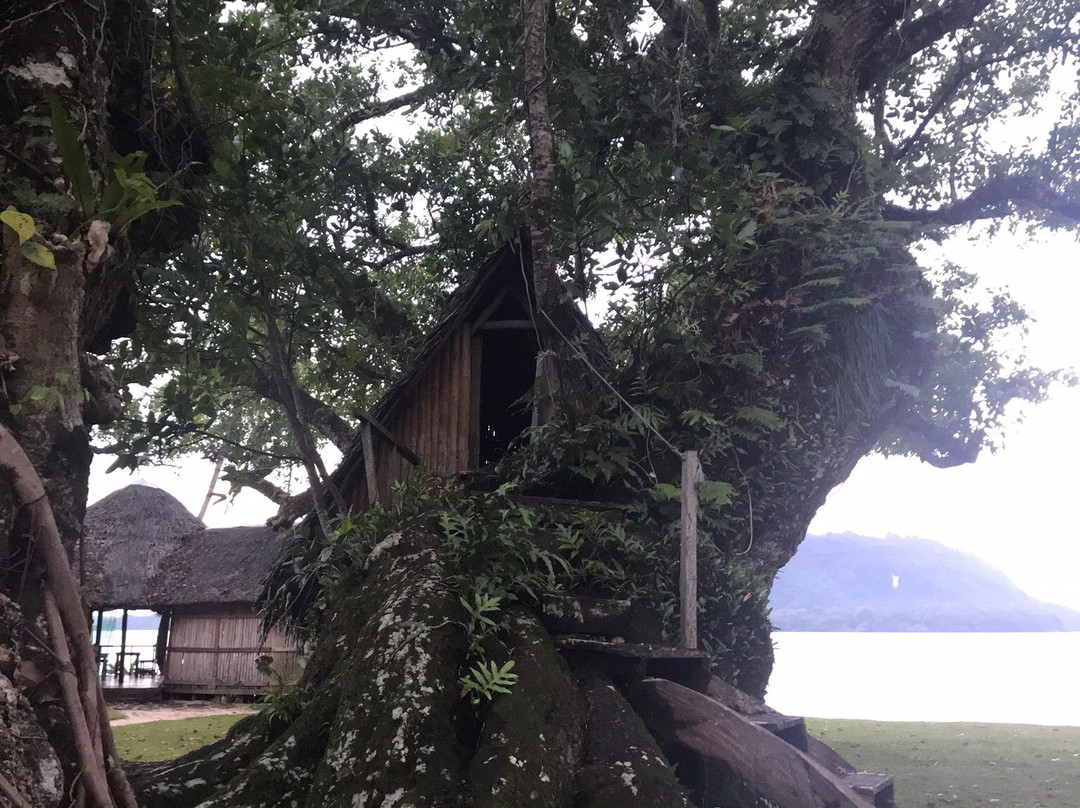 Port Olry Tree House & Beach Bungalows