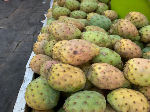 Fez Sahara Tours-非斯必去景点