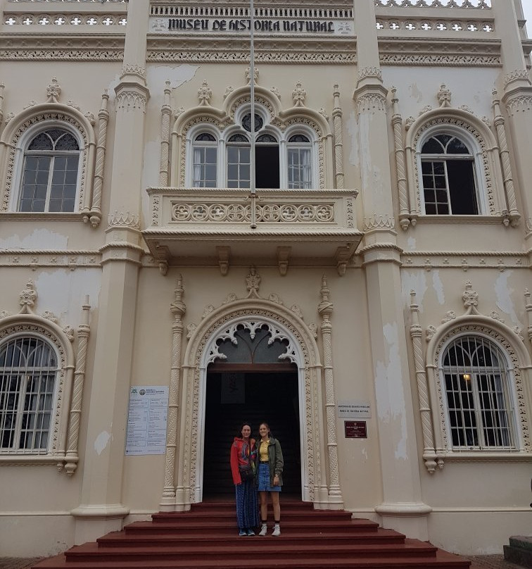 Museu De História Natural de Maputo-马布多必去景点