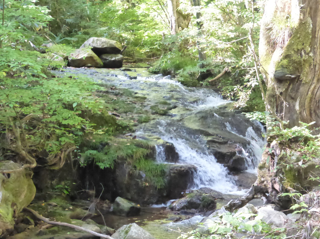 Utsueshijuhachitaki Falls Prefectural Nature Park景点图片