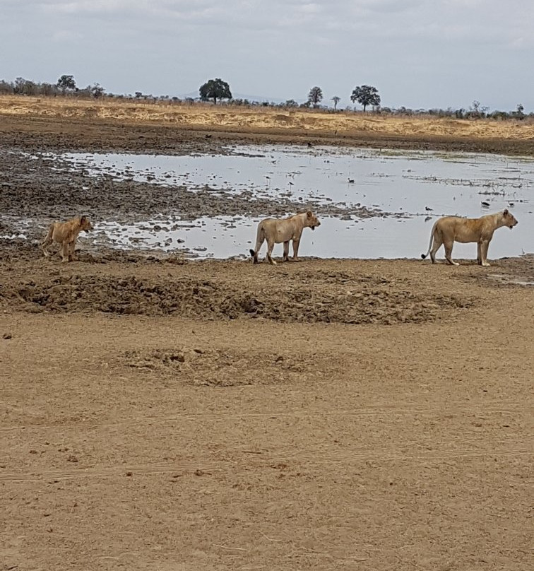 Martins Safaris-米库米国家公园必去景点