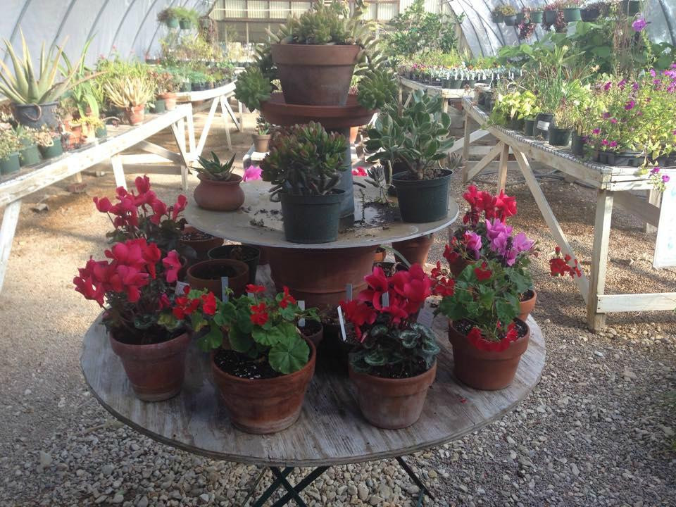 URBANherbal-弗雷德里克斯堡必去景点