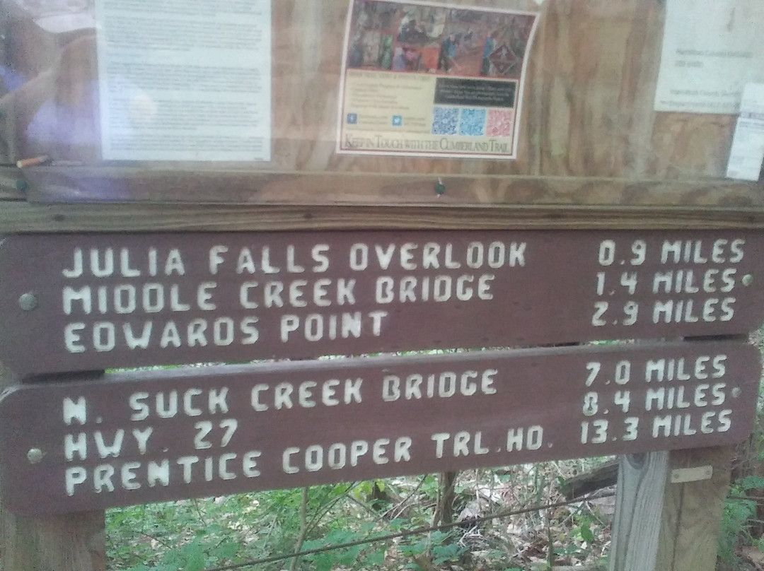 Julia Falls Overlook