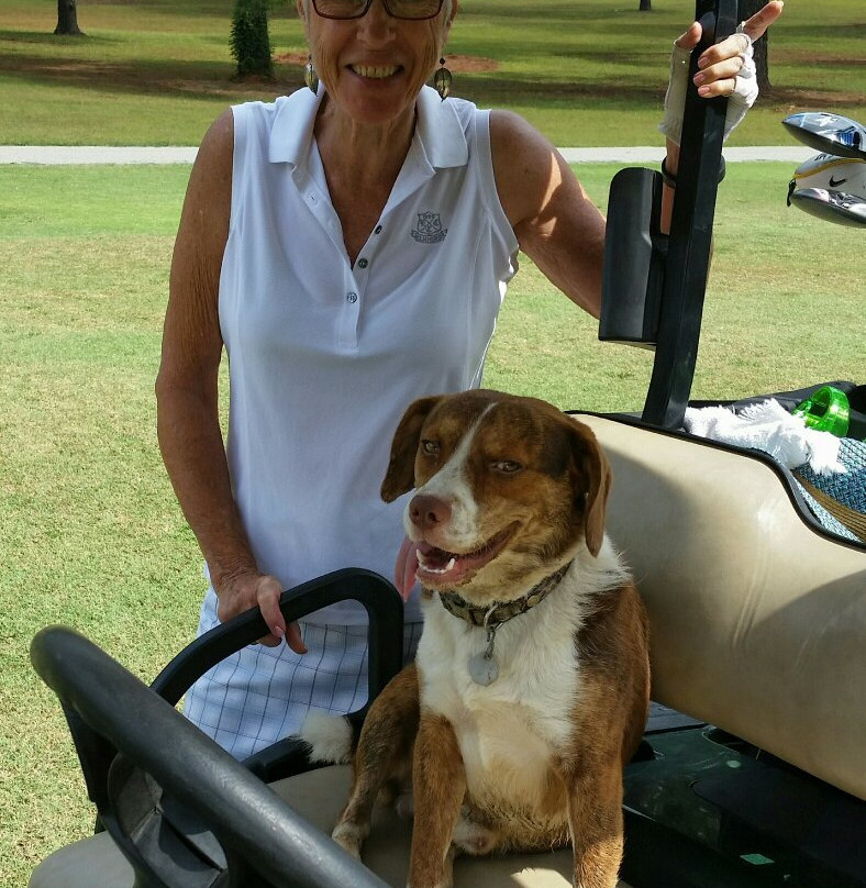 Persimmon Hill Golf Club