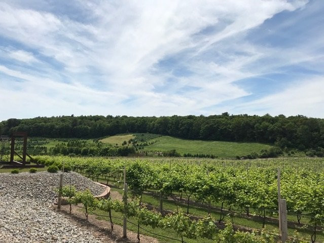 Blue Ridge Estate Winery景点图片
