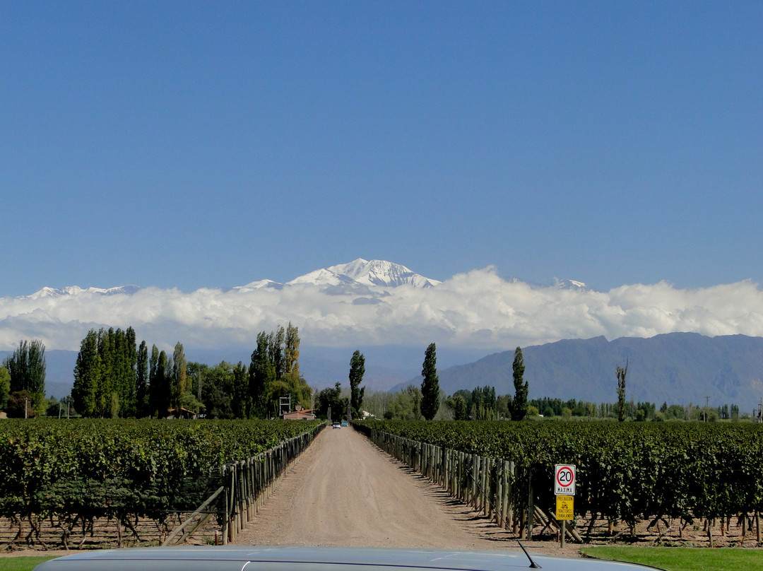 Mendoza Journeys景点图片