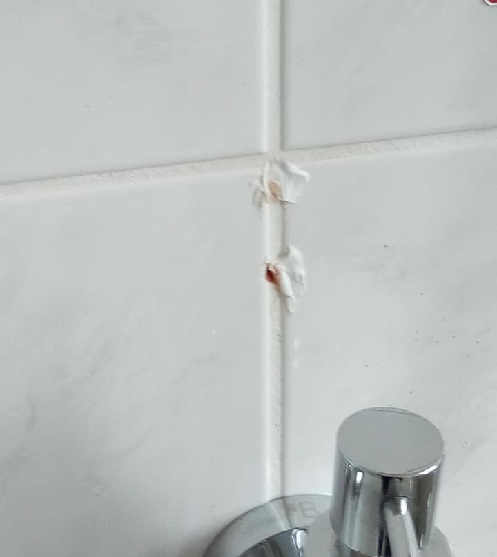 卢巴斯卡拉伊萨美吉酒店主图