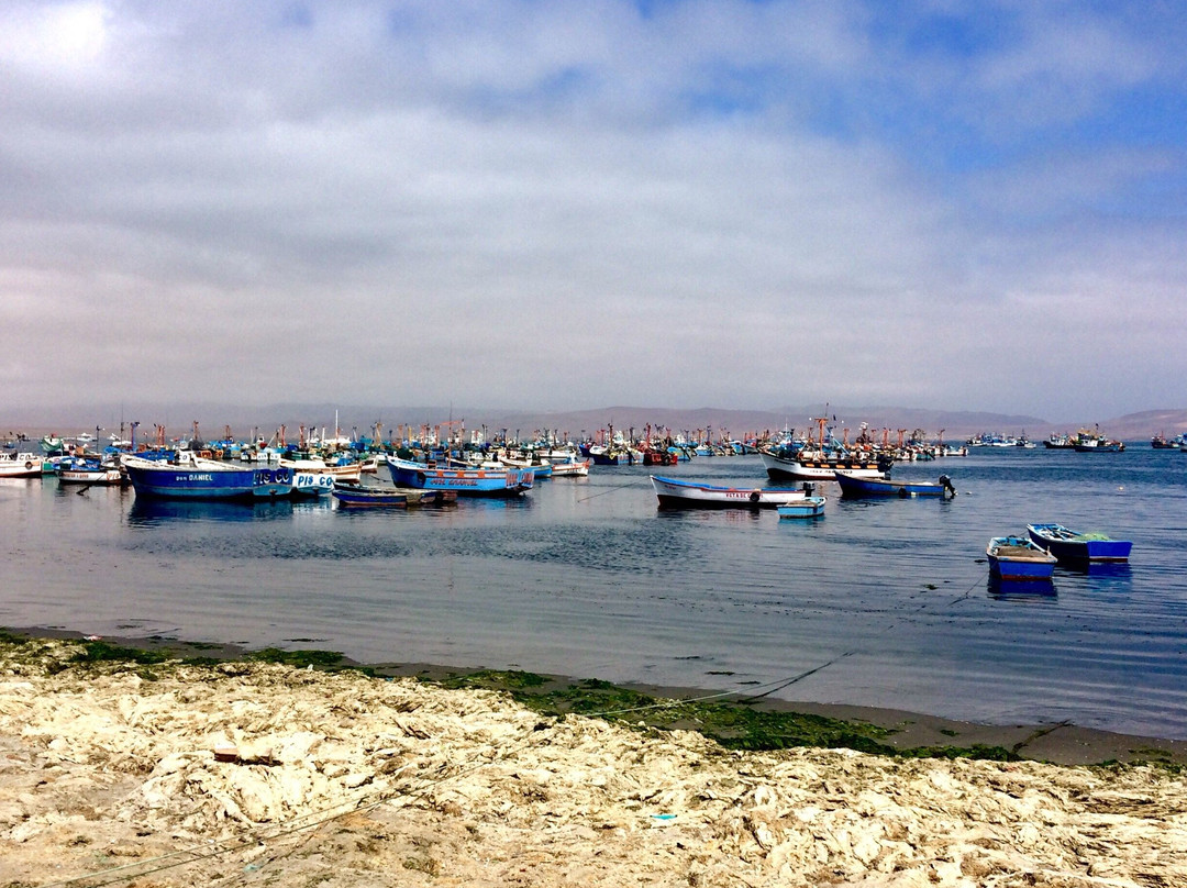 Atracadero Artesanal "El Chaco"