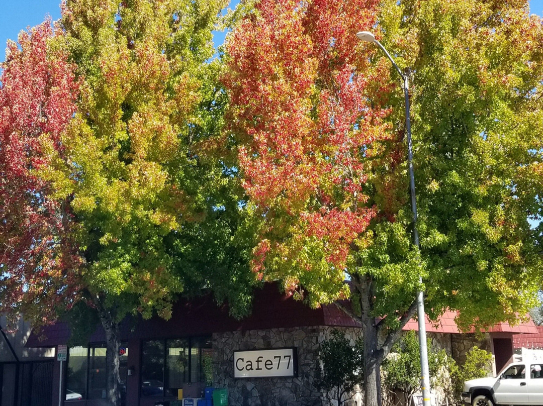 Willits旅游攻略图片