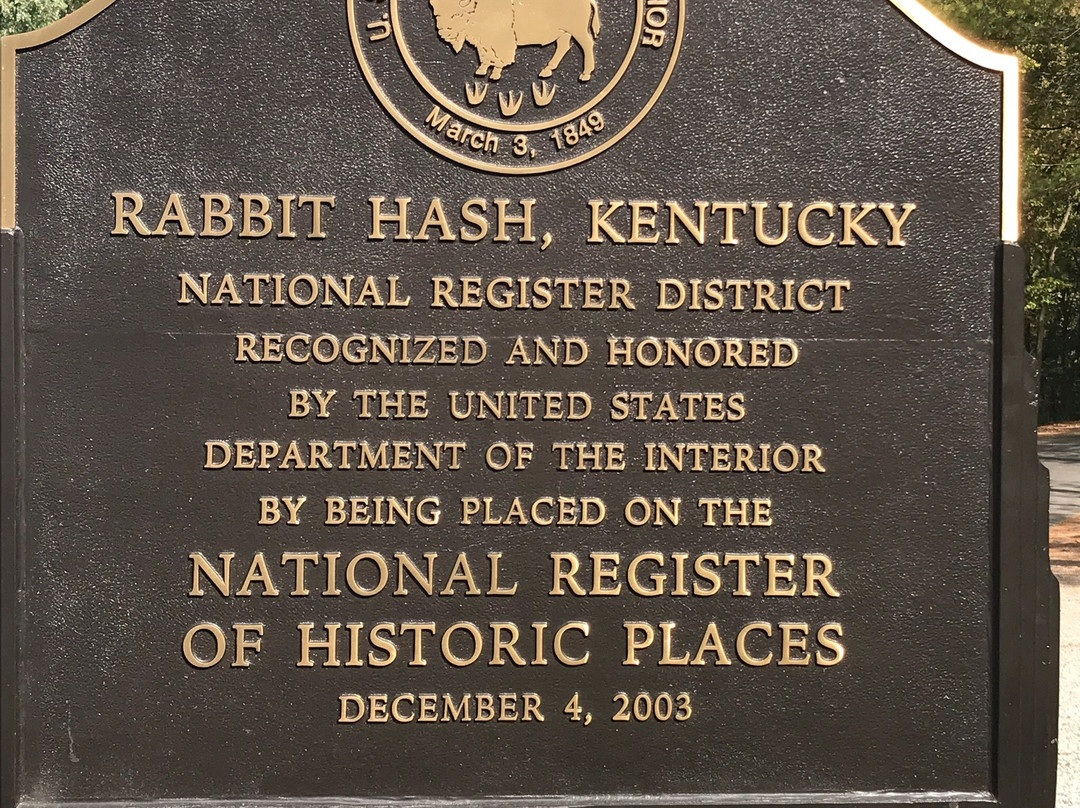 Rabbit Hash General Store景点图片