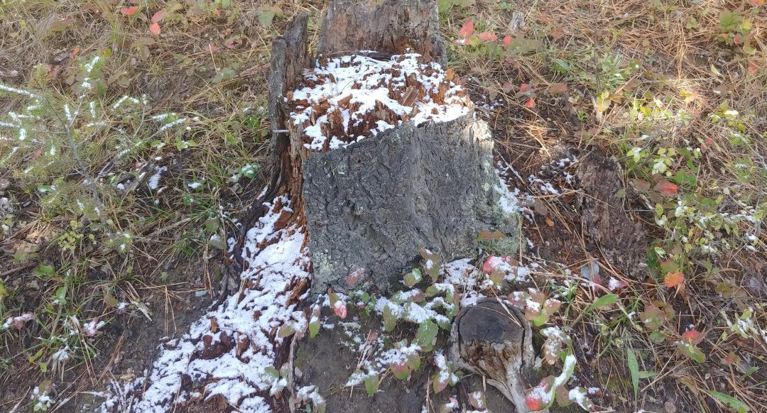 Herron Park-卡利斯佩尔必去景点