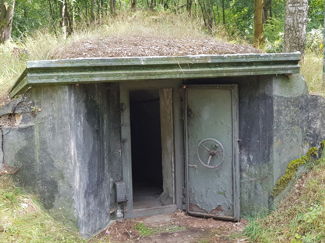 Bücher- und Bunkerstadt Wünsdorf-Zossen必去景点