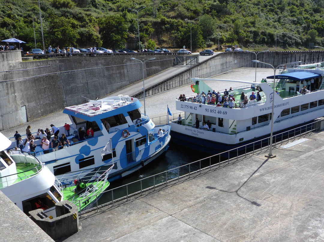 Barragem da Regua景点图片