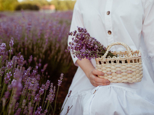 Pomelaj-Mala Polana必去景点