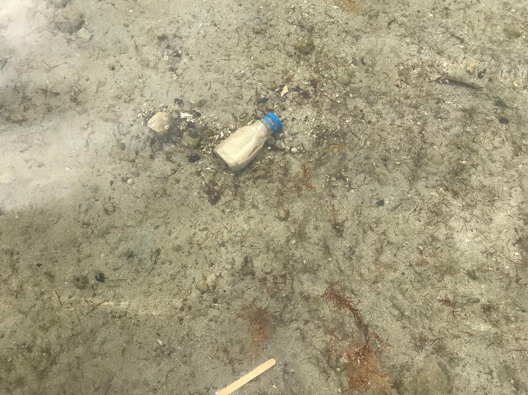 Aquamarine Kuwait Resort主图