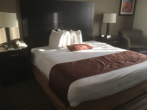 纽瓦克克里斯蒂安娜贝斯特韦斯特优质酒店主图