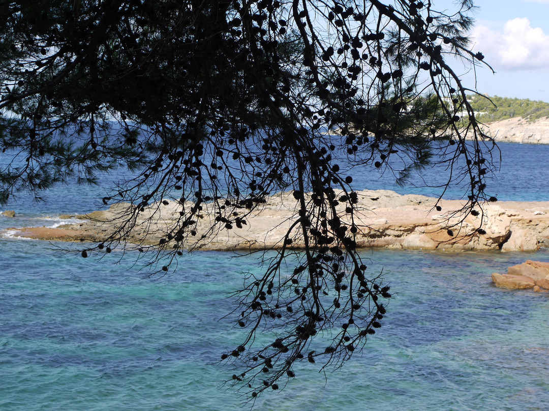 Cala S'Illot des Rencli景点图片