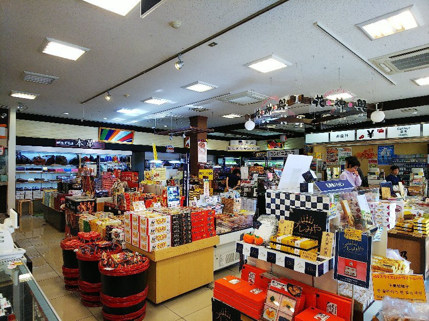 Nagaragawa Service Area Outbound-关市必去景点