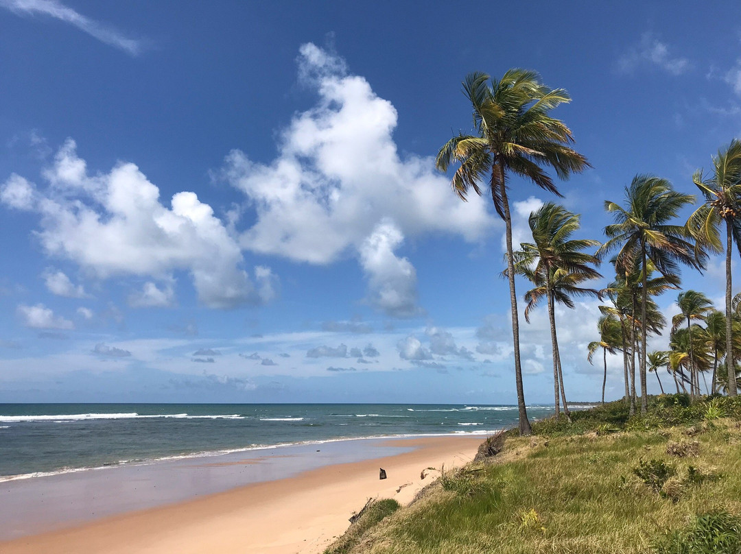 Saquaira Beach景点图片