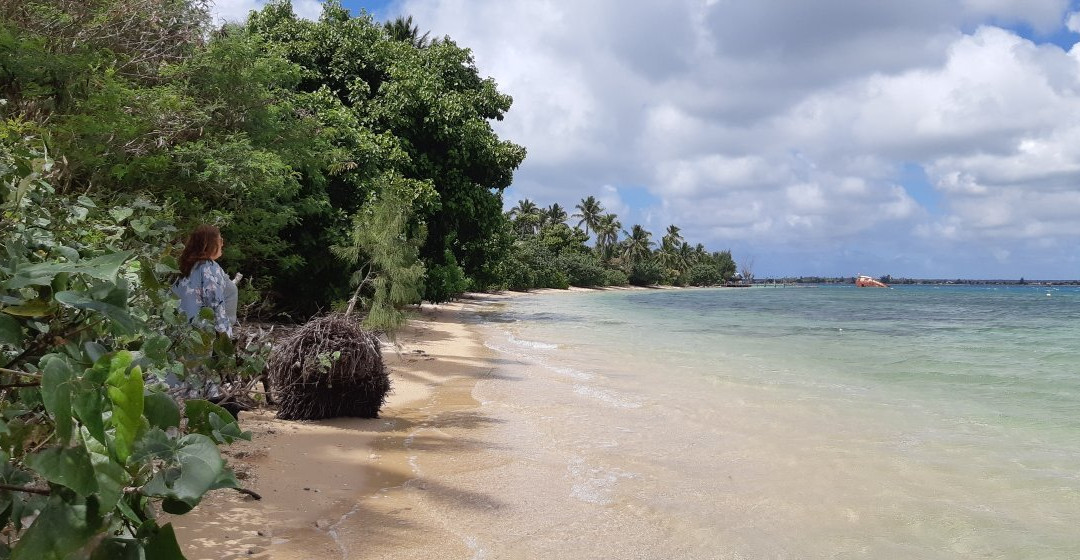 Pangaimotu Island Resort主图