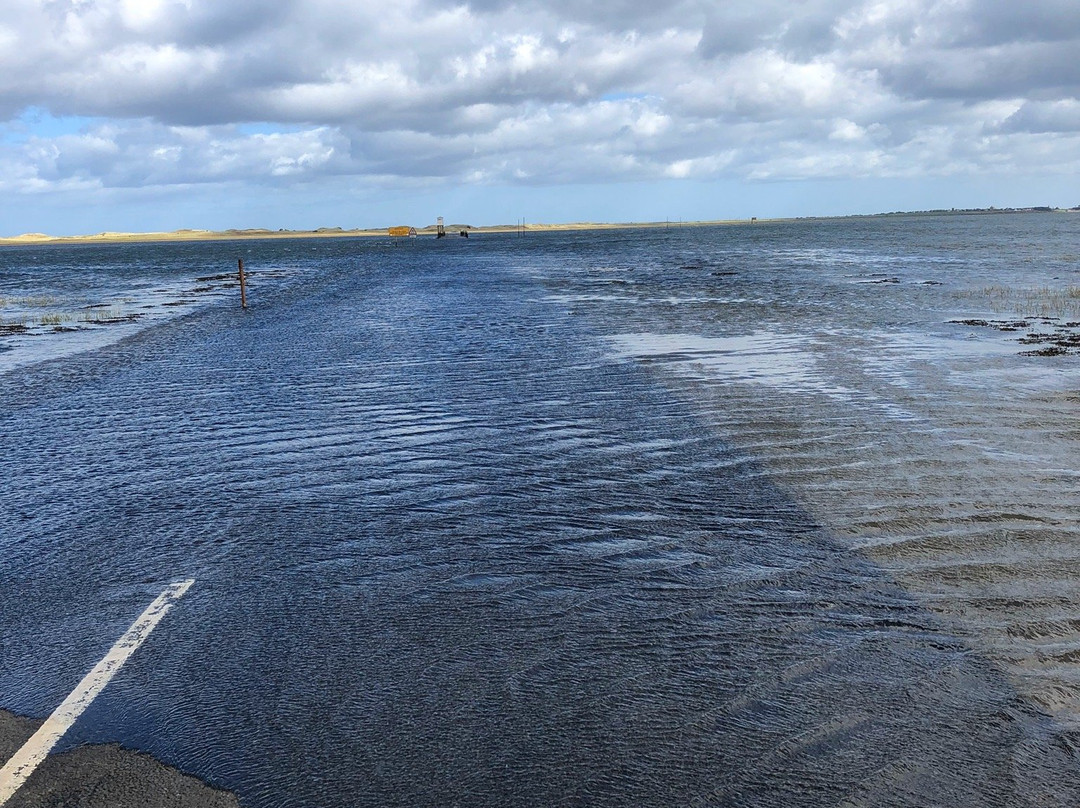 Holy Island Hikes景点图片