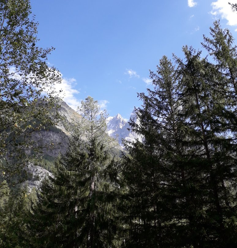 Virage Montagne-霞慕尼必去景点